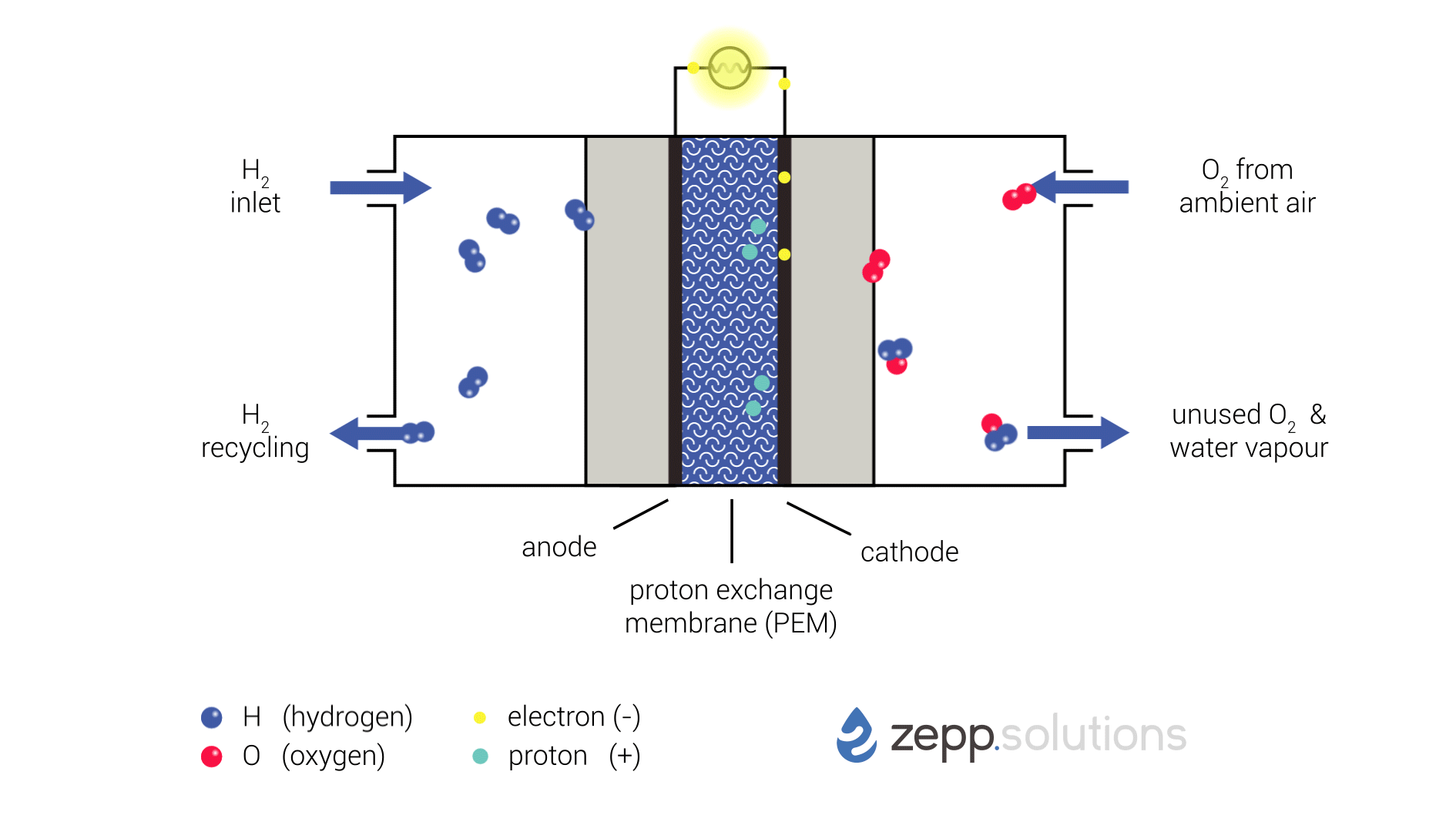 Animation schematically displaying an overview of the inner workings of a "Proton Exchange Membrane" (PEM) Hydrogen Fuel Cell. What's displayed: Hydrogen enters the fuel cell on the top left and splits into two protons and two electrons at the anode side. Hydrogen that doesn’t react is recirculated. The protons pass through the proton exchange membrane (PEM) in the middle, while the electrons take a detour. The electrons taking this detour provide the electrical energy used to power the application. On the right side of the PEM, at the cathode side, oxygen (O2) is split up and meets up with the protons and electrons. The protons and electrons together form hydrogen (H2), which bonds to the oxygen, resulting in water (H2O).